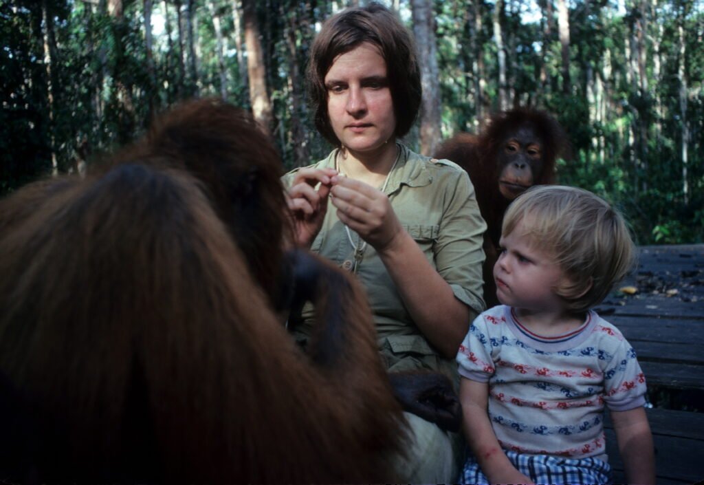 Binti as a baby with Birute Galdikas