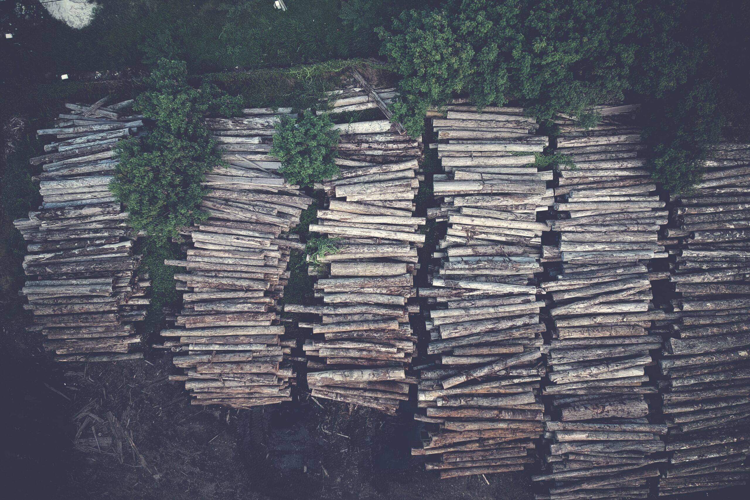 Cleared and fragmented rainforest habitat