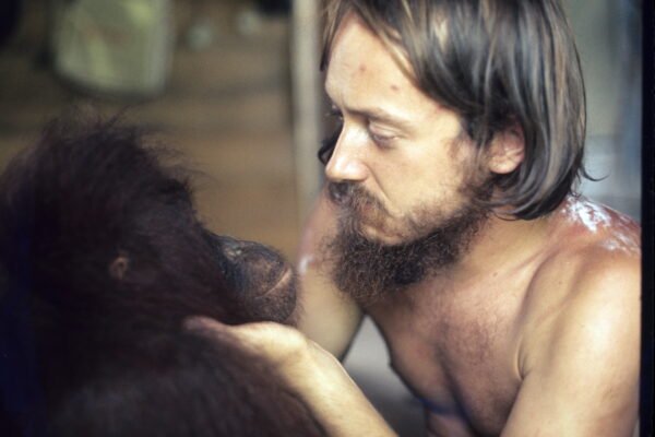 rod with orangutan