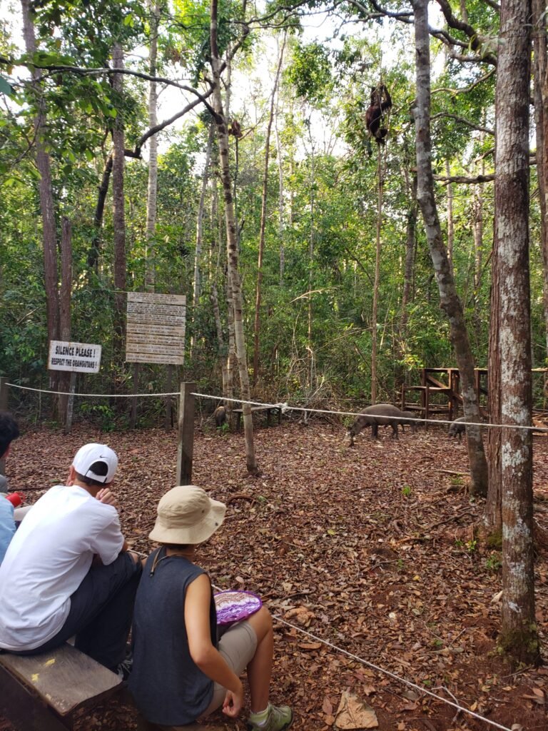 Feeding station