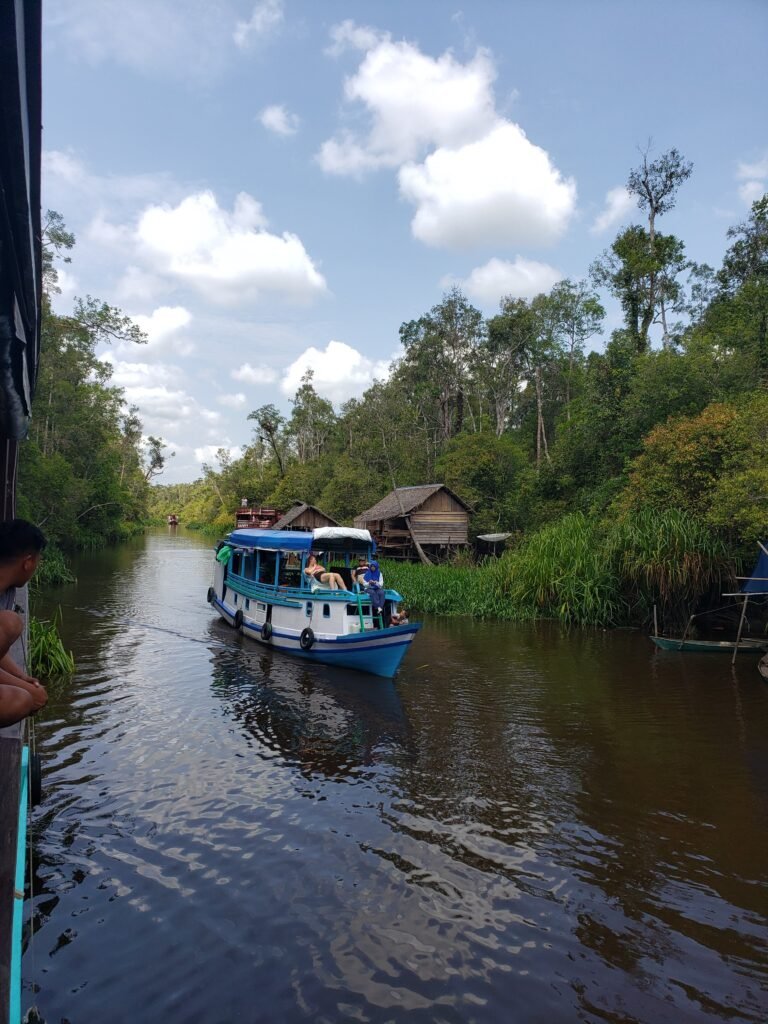 A passenger klotok on the Sekonyer River